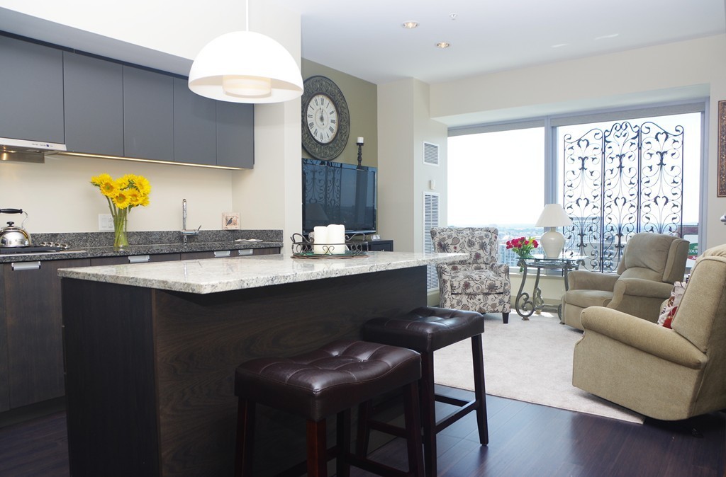 110 Stuart Street, Unit 18J, Boston · Midtown